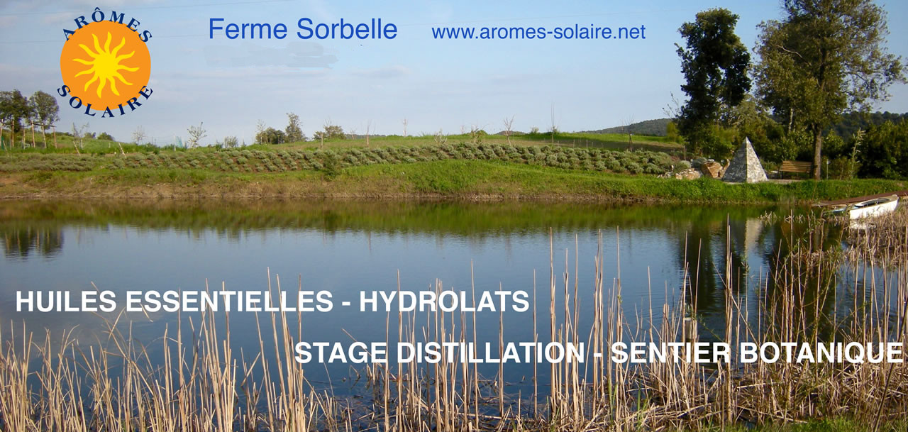 Encart Ferme Sorbelle